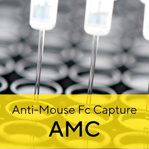 Набор биосенсоров Anti-Mouse Fc Capture (AMC), ForteBio, Sartorius