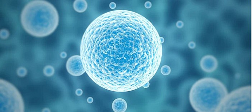 Среда базальная RPMI 1640, феноловый красный, глутамин, ХЕПЕС, без бикарбоната натрия, сухая, BioEngine