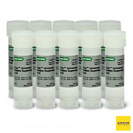Мастер-микс для количественной ПЦР в режиме реального времени iTaq Universal Probes Supermix