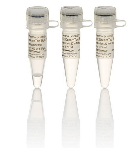 ДНК-полимераза DreamTaq Hot Start, термостабильная, с «горячим» стартом, 5 ед/мкл