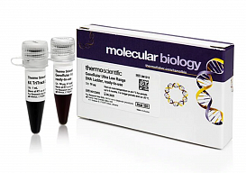 Маркер длин ДНК GeneRuler Ultra Low Range, 11 фрагментов от 10 до 300 п.н., готовый к применению, 0,1 мкг/мкл