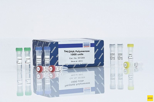 ДНК-полимераза Taq, термостабильная