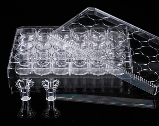 Планшеты культуральные 12-лун. со вставками и крышкой, Nest, Китай