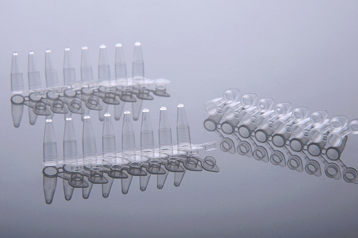 Пробирки для ПЦР в стрипах, 0,2 мл, 1×8, с плоскими крышками-колпачками, бесцветные, полипропилен, 120 шт/уп., 1200 шт/кор., Nest, Китай