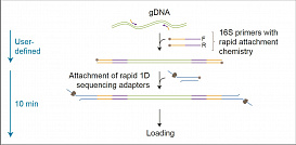 Набор для секвенирования гена 16S-РНК, 16S Barcoding Kit
