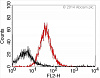 Набор для конъюгации антител PE / R-Phycoerythrin Conjugation Kit, Lightning-Link Фото 13