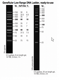 Маркер длин ДНК GeneRuler Low Range, 10 фрагментов от 25 до 700 п.н., готовый к применению, 0,1 мкг/мкл