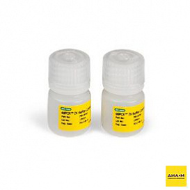 Контрольный буферный 2х раствор для работы с EvaGreen, 9 мл