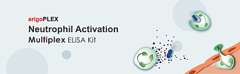 Набор ИФА arigoPLEX Human Fibrotic Markers (TGF beta 1, PDGF BB, IL6, TNF alpha), 96 тестов, Arigobio, Китай