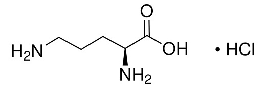 Орнитин-L моногидрохлорид чистый, DAB (pharma grade), NeoFroxx