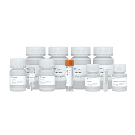 Набор для мини выделения плазмидной ДНК свободной от эндотоксинов, FastPure EndoFree Plasmid Mini, Vazyme, Китай