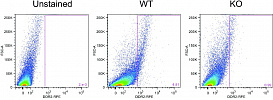 Набор для конъюгации антител PE / R-Phycoerythrin Conjugation Kit, Lightning-Link