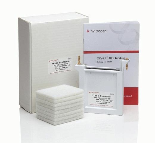 Модуль для блотинга XCell II Blot Module