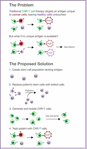 Сортировка CAR-T клеток после трансфекции