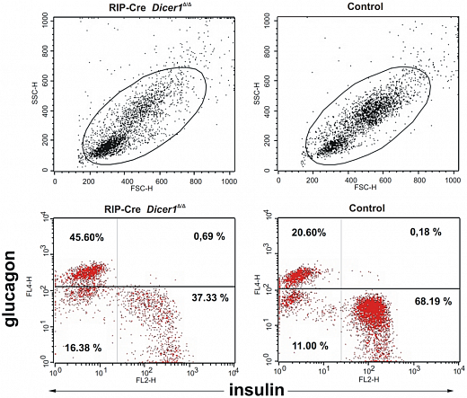 Набор для конъюгации антител PE / R-Phycoerythrin Conjugation Kit, Lightning-Link Фото 8