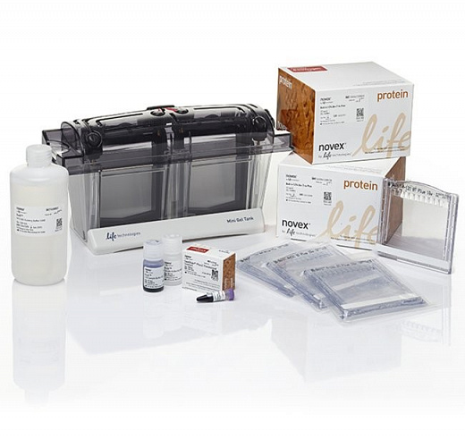 Электрофорезная вертикальная камера Mini Gel Tank (Blot Welcome Pack A), 8х8 см, 2 геля, с набором реагентов
