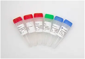 Набор для подготовки NGS библиотек VAHTS Universal DNA Library Prep Kit for Ion Torrent V2