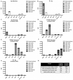 Набор для конъюгации антител PE / R-Phycoerythrin Conjugation Kit, Lightning-Link
