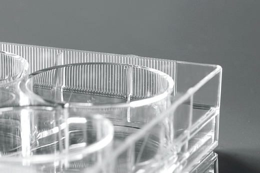 Планшеты культуральные крупным планом, Nest, Китай