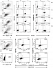 Набор для конъюгации антител PE / R-Phycoerythrin Conjugation Kit, Lightning-Link Фото 5