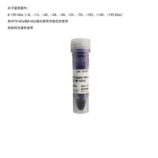 Маркер молекулярного веса белков, 30-209 кДа, предокрашенные, Western Protein Marker II, для ECL-детекции, 250 мкл, Servicebio, Китай