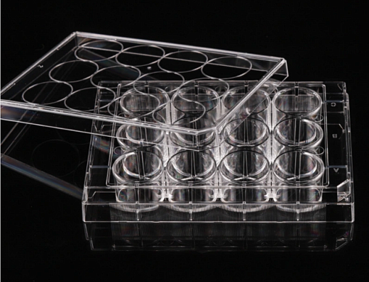 Планшеты культуральные 6 – 384-лун., необработанные, плоскодонные, прозрачные, стерильные, Nest, Китай