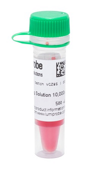 Краситель dsSafe раствор для окрашивания нуклеиновых кислот в геле, 10 000×, 500 мкл, Lumiprobe