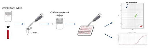 Схема экспериментального процесса с использованием набора для лизиса образцов при комнатной температуре RoomTemp