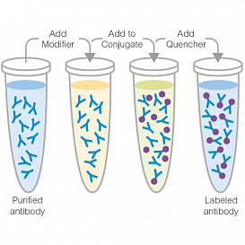 Набор для конъюгации антител PE / R-Phycoerythrin Conjugation Kit, Lightning-Link