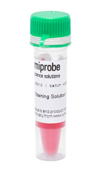 Краситель dsSafe раствор для окрашивания нуклеиновых кислот в геле, 10 000×, 500 мкл, Lumiprobe