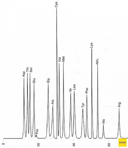 Анализатор аминокислот Azura Фото 2