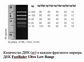 Маркер длин ДНК FastRuler Ultra Low Range, 5 фрагментов от 10 до 200 п.н., готовый к применению