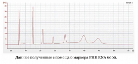 Маркер РНК, RNA 6000, от 200 п.н. до 6000 п.н., 150 мкг/мл