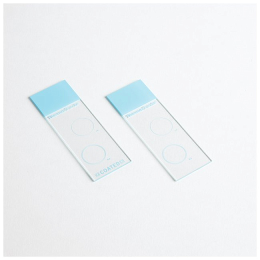 Стекло предметное Cytoslide, две лунки, не покрытое, 100 шт./кор.