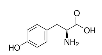 Тирозин-L, 99,0-101,0%, pure EP, USP (pharma grade), neoFroxx