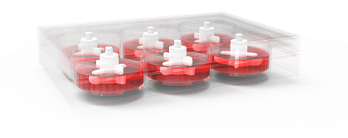 Планшет 6-луночный 3D FloTrix с крыльчатками для microSPIN Multiplex System, 5 шт., CytoNiche, Китай