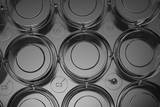 Дно культуральных планшет с буквенно-цифровой маркировкой, Nest, Китай