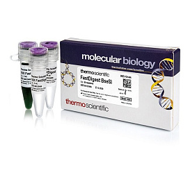 Эндонуклеаза рестрикции BseSI Fast Digest для ускоренного гидролиза ДНК, Fermentas