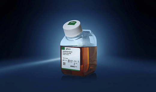Сыворотка эмбриональная телячья (FBS), Research Grade