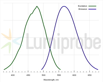 Краситель ProteOrange Protein Gel Stain, 5000×, 100 мкл, Lumiprobe