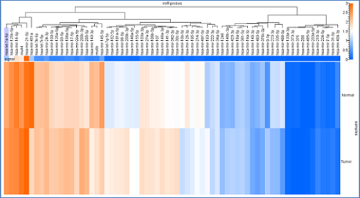 Панель для профилирования ми-РНК, Multiplex miRNA Assay Core Reagent Kit - Circulating (crude biofluid) Фото 3
