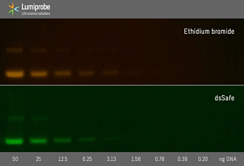Краситель dsSafe раствор для окрашивания нуклеиновых кислот в геле, 10 000×, 500 мкл, Lumiprobe